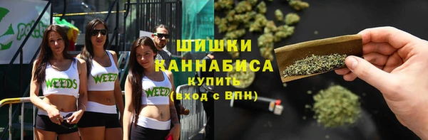 спиды Магас