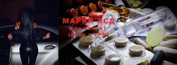 спиды Магас