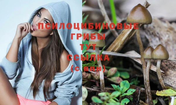 стафф Майский