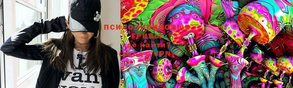 стафф Майский